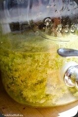 Sirop-sureau-6