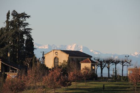 DSCN6757