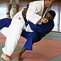 Bms judo : un debut d'annee plus que positif, le bms judo le club des blanc-mesnilois