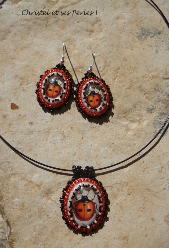 Ensemble coccinelle