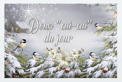 fête de fin d'année, noel, nouvel an, carte - DKA decoKlane
