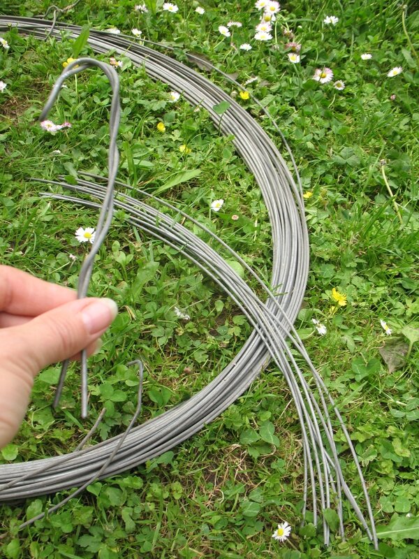 Sardines de jardin Brin et brindille atelier saisonnier