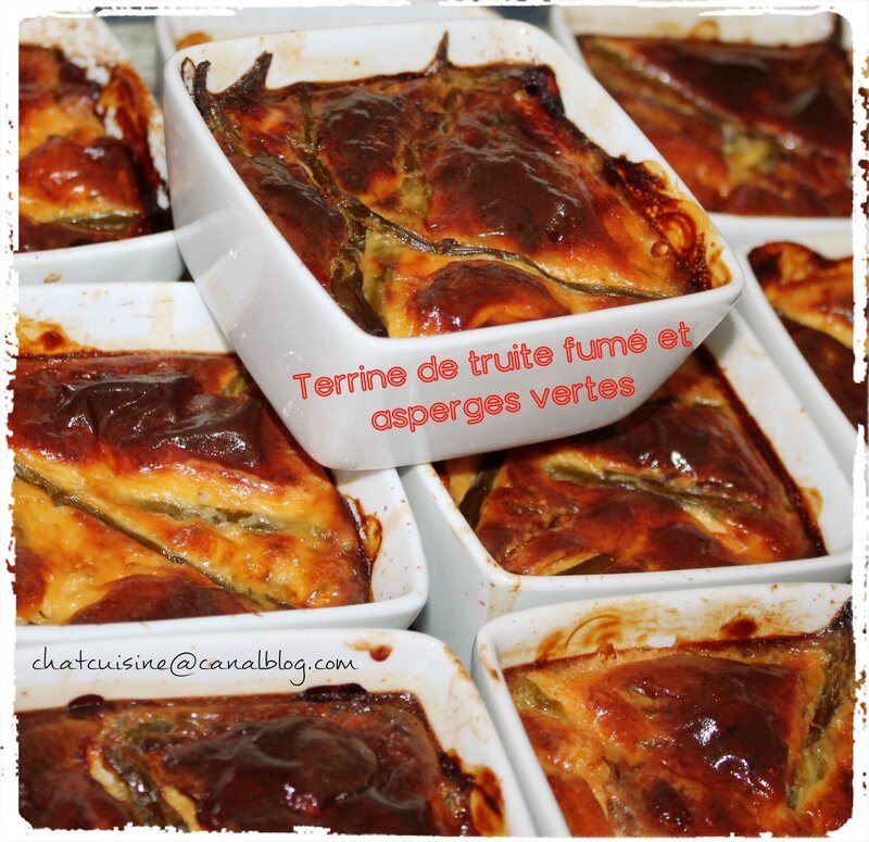 Terrine de truite fumé et asperges vertes chatcuisine