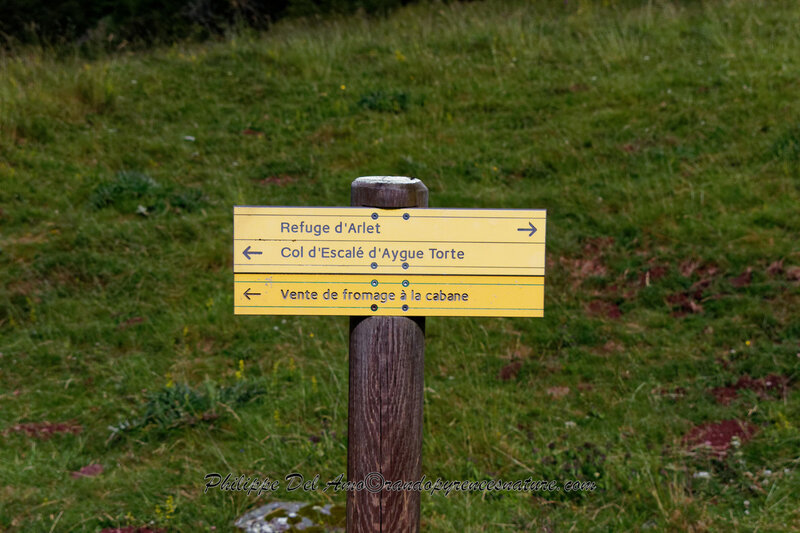 IMG_4186_DxO