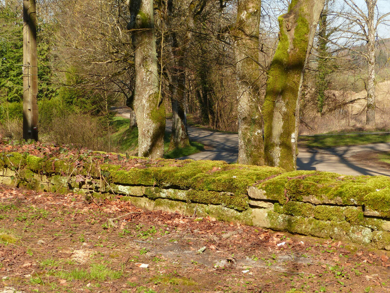 P1140655