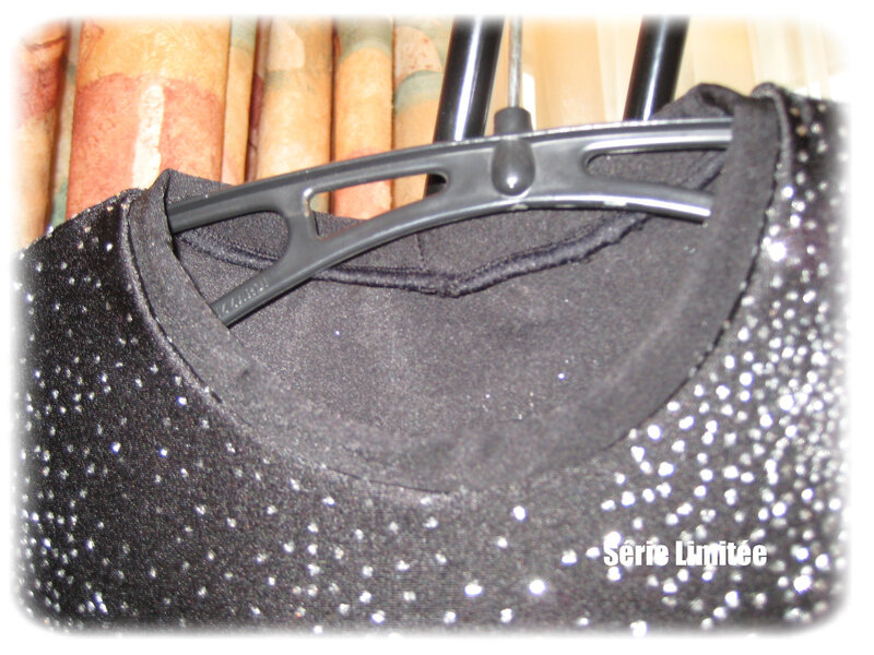body paillettes (1)
