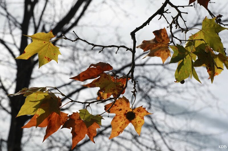 10b 2013_2013_11_07_9999_226blog