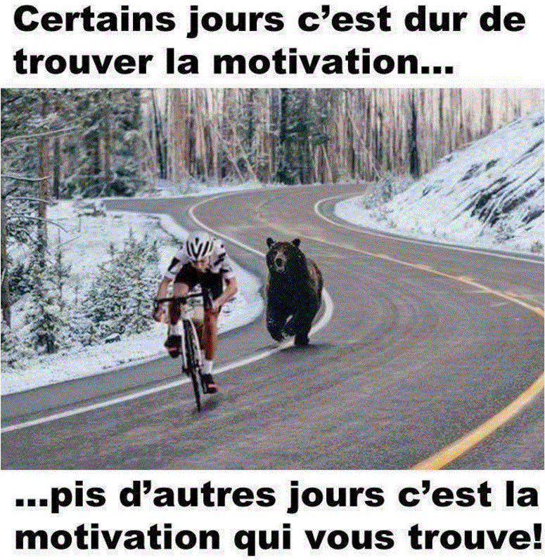 motivation__o3d44x