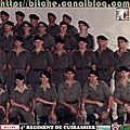 1985 / 86