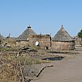 P1000678