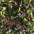 _DSC0320