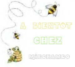 Miechambo A bientôt abeilles