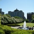 Central Park (17)