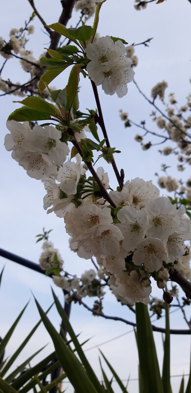 20190401_181539 (1)