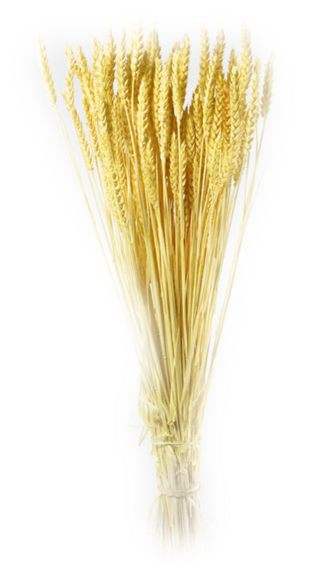 2a5c7676