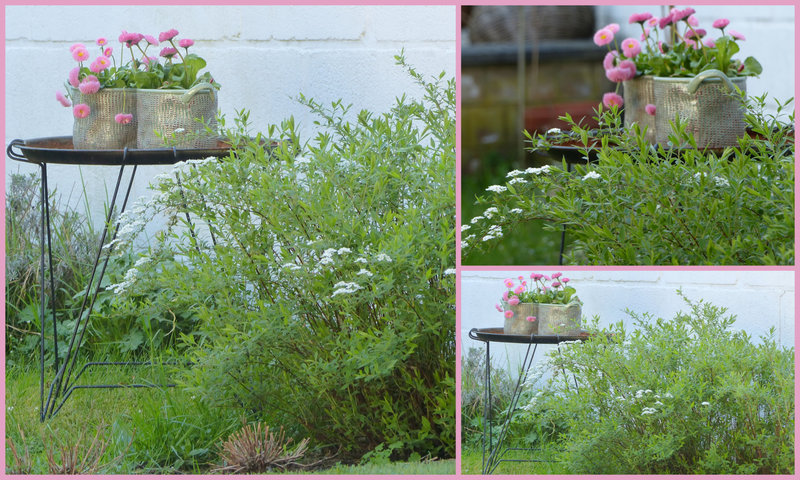 au jardin e-004