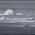 DSC07695__1_