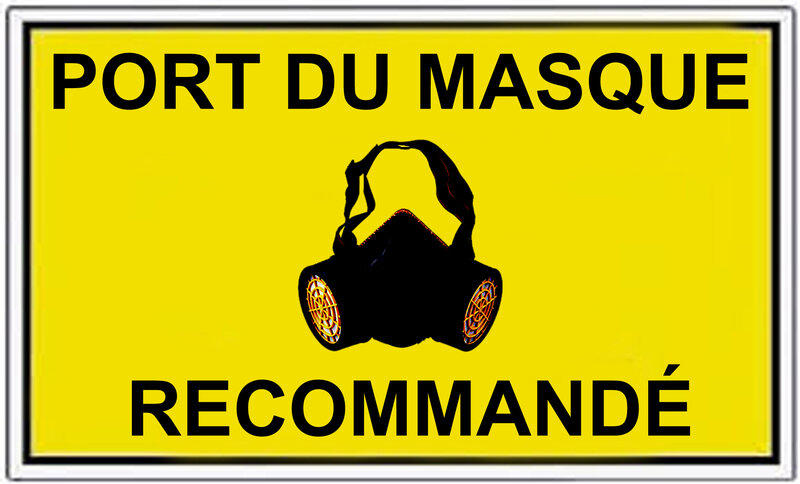 Port du masque recommandé copier