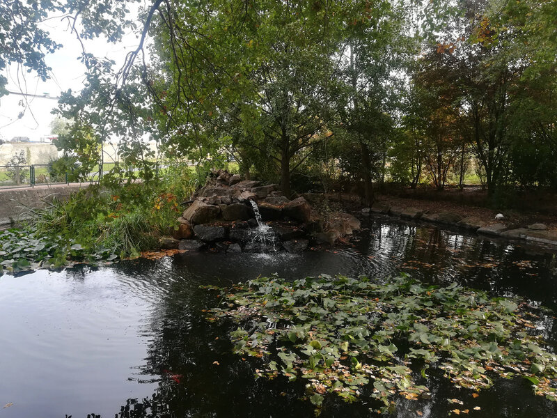 parc Labesse, 26 oct 2018 (11)