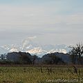 DSCN0843
