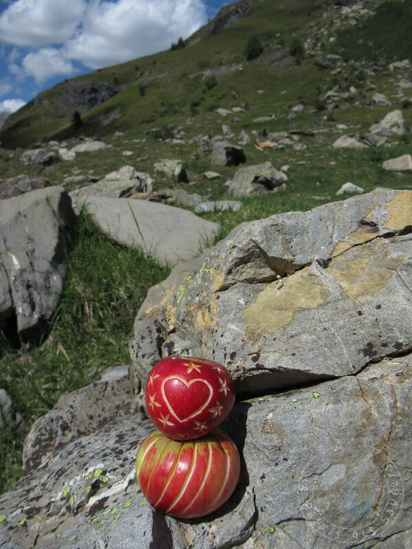 Pomme à la montagne #4