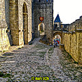 17 mars 1420 les états de languedoc assemblés à carcassonne sous la présidence du jeune prince charles- siège de nimes