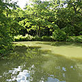 P1020356