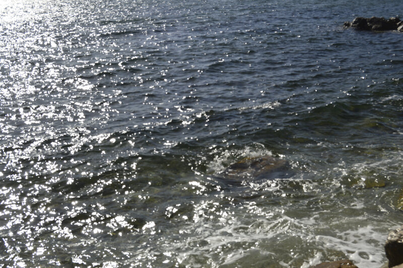 _DSC0249