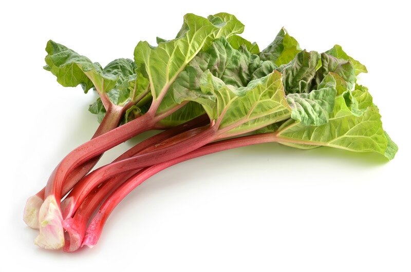 canstockphoto9067646