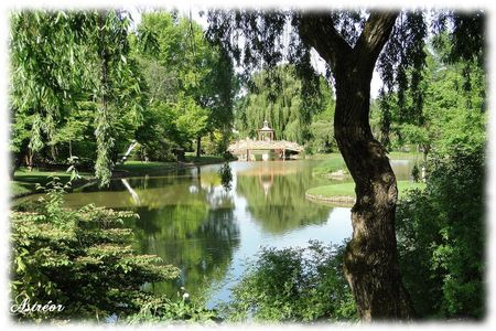 jardin40