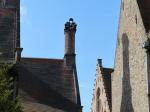 BRUGES vendredi 27 mars 2015 (144)