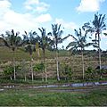 P1040948bis