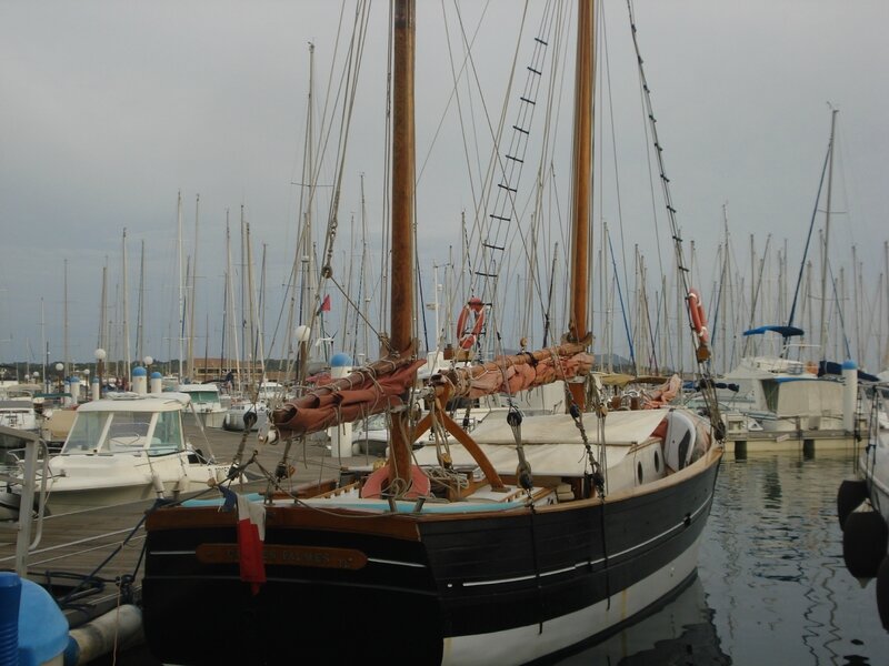 DSC08631