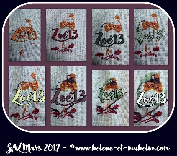 zoé13_salmar17_col3