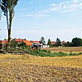 IMGP5475
