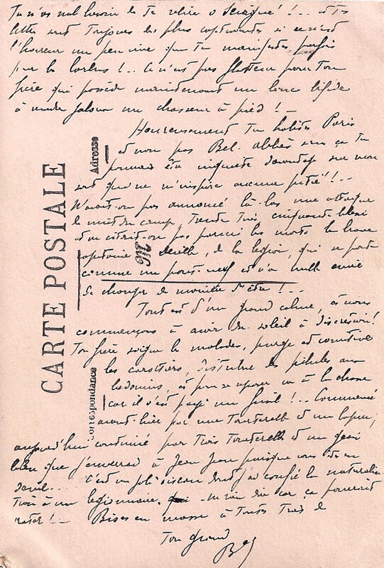 Maroc 8v