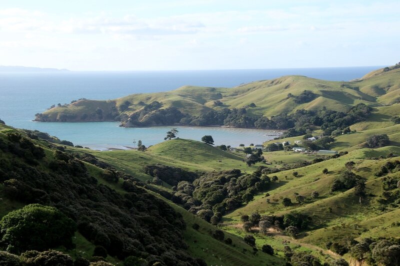 4W7A7494 Route pour Coromandel copie