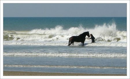 cheval_cavalier_grosse_vague