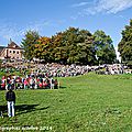Z-9824 Saint-Hubert 2014 au Mont des Cats