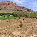 Agriculture Ahouli