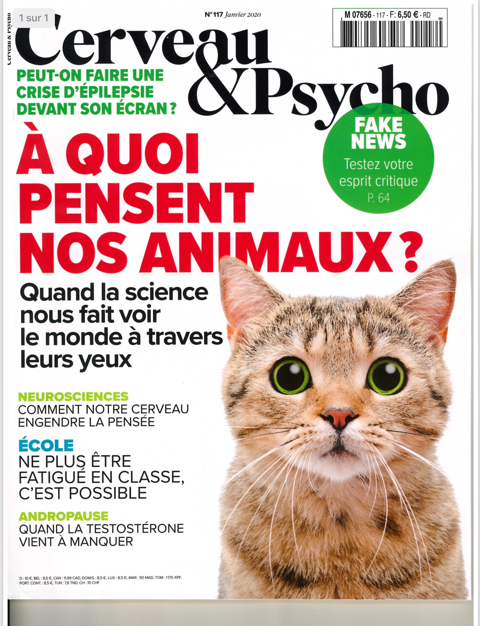 Cerveau Psycho A Quoi Pensent Nos Animaux Janvier N117 Abyssins D Abystyle