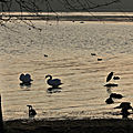 IMG_9116