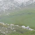 P1210267