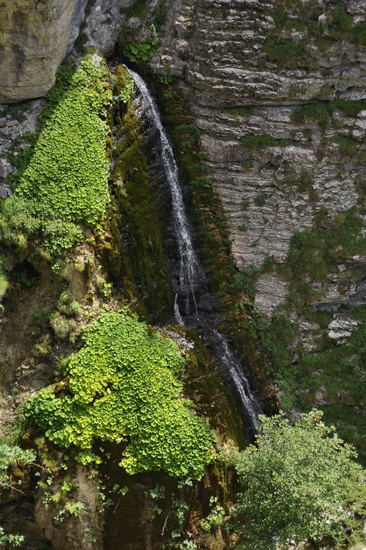 _DSC0222_Alpes___Gorges_de_Saint_Pierre_2