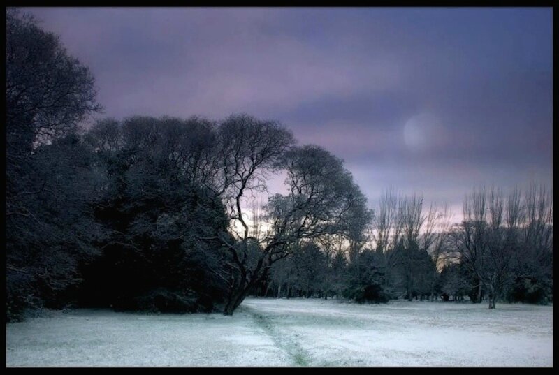 carlos alberto bau 2