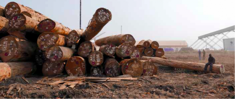 Bois_1_1024x435