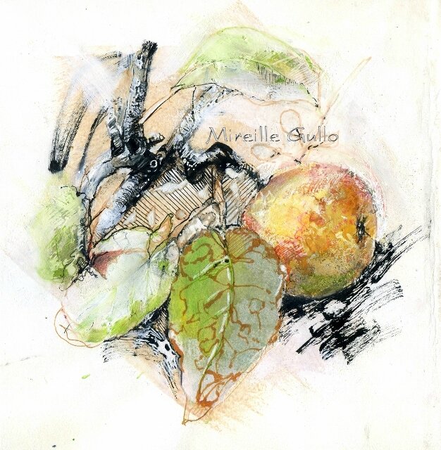 img648 (626x640)