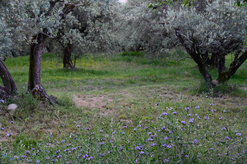 DSC_3121