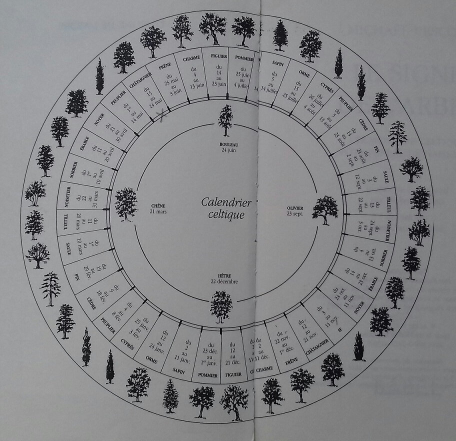 Horoscope Celtique Pour Que Chaque Jour Compte