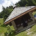 _DSC0487